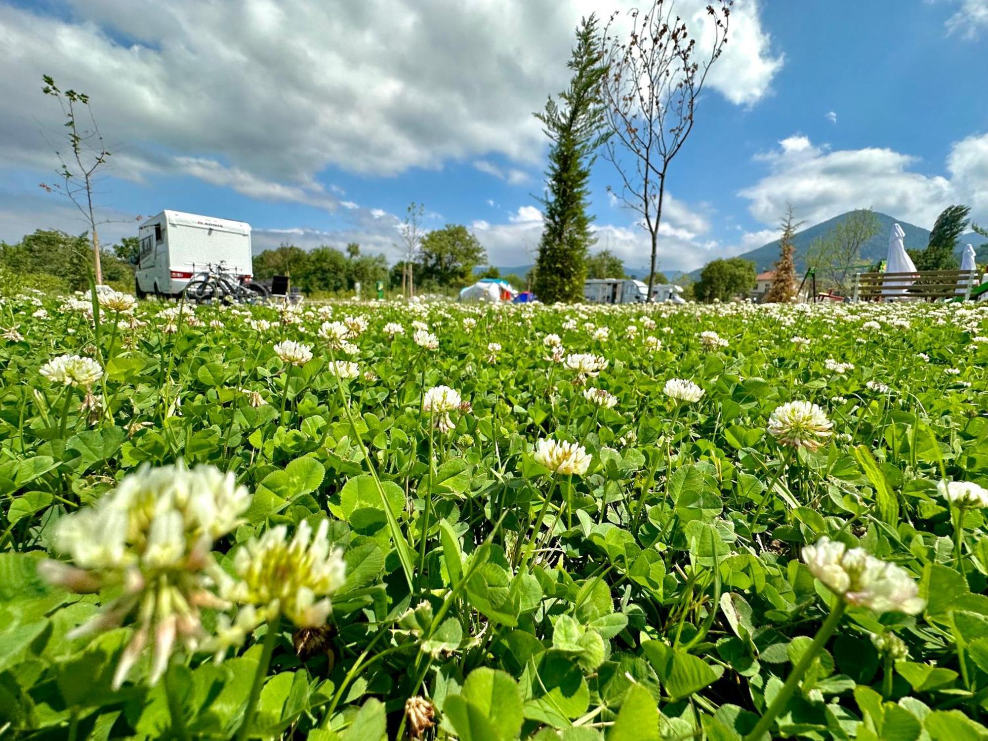 7 Lakes Camping Saparewa Banja Exterior foto